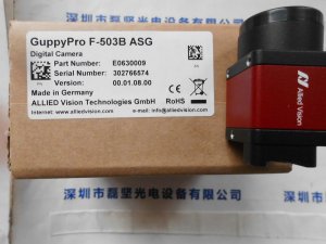 AVT 瑷茘德 GUPPY PRO F-503B 工业相机 