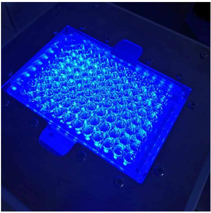 PLss普林塞斯 LED96孔细胞培养板96孔板光源光毒实验光解仪